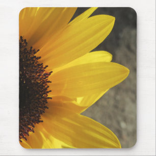 Sunny Sunflower Closeup Mouse Pad
