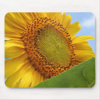 Sunny Sunflower Mouse Mat