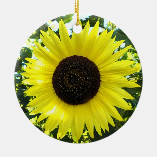 Sunny Sunflower Ornament (Back)