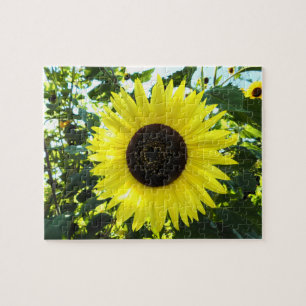 Sunny Sunflower Puzzle