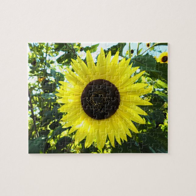 Sunny Sunflower Puzzle (Horizontal)