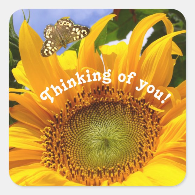 Sunny Sunflower, Thinking of You Square Sticker (Front)