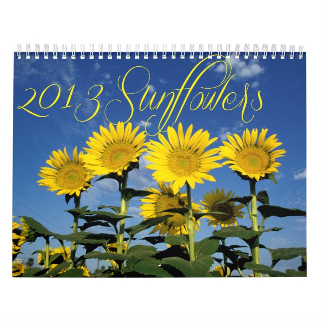 Sunny Sunflowers 2013 Calendar (Cover)