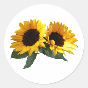 Sunny Sunflowers Classic Round Sticker
