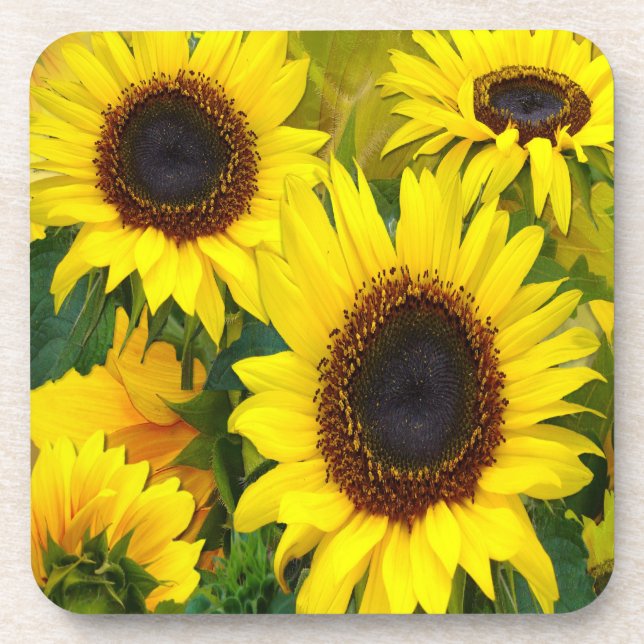 Sunny Sunflowers Coaster (Front)