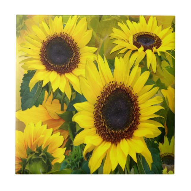 Sunny Sunflowers Tile (Front)