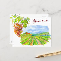 Sunny Vineyard. Watercolor Art Postcard