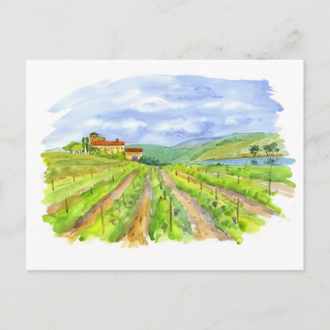 Sunny vineyard. Watercolor painting Postcard (Front)