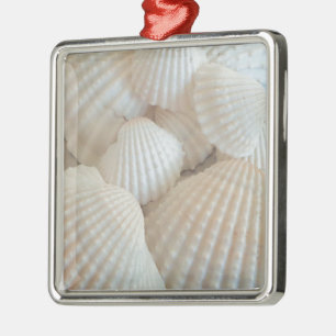 Sunny White Seashells, Summer Beach Exotic Metal Tree Decoration