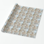 Sunny White Seashells, Summer Beach Exotic Wrapping Paper<br><div class="desc">Sunny White Seashells,  Summer Beach,  Exotic</div>