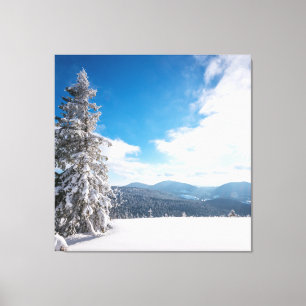 Sunny Winter Landscape of Snowdrifts Canvas Print