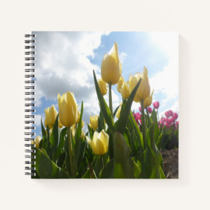 Sunny Yellow & Pink Tulips with Blue Sky Notebook