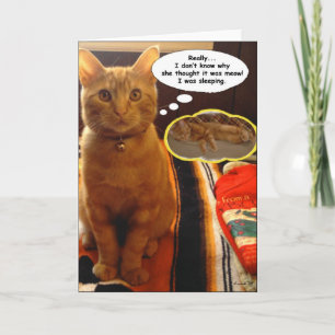 SunnyBoy the Cat Thinking and Sleeping Card