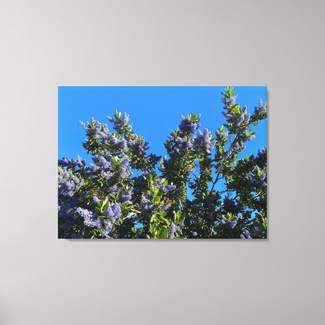 Sunnyvale Blues Canvas Print (Front)