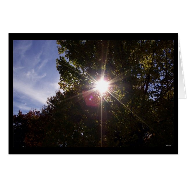 Sunrays (bordered black) (Front Horizontal)