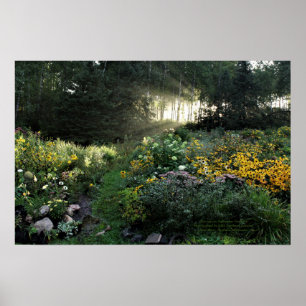 Sunrays in Late September Gardens Poster