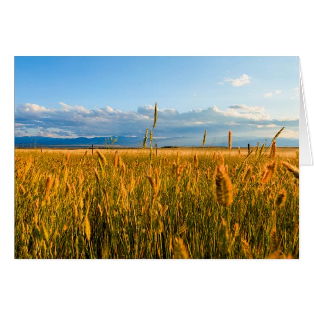 Sunrays over field of wheat with mountains (Front Horizontal)