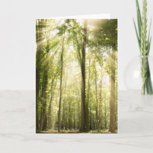 Sunrays Through Treetops Card
