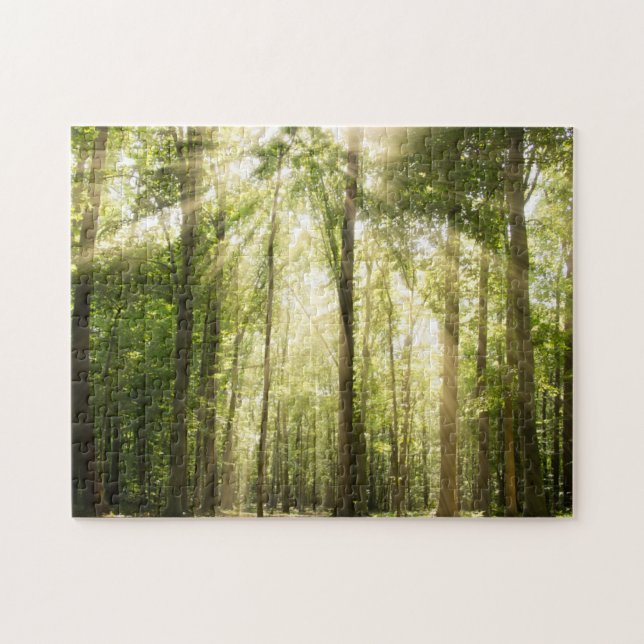 Sunrays Through Treetops Jigsaw Puzzle (Horizontal)