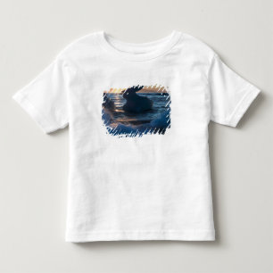 Sunrise and Iceberg formations Toddler T-Shirt