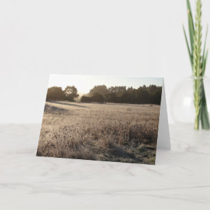 Sunrise at Bear Valley Trailhead Landscape Card