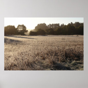 Sunrise at Bear Valley Trailhead Landscape Poster