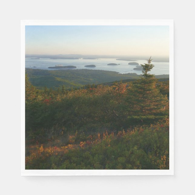 Sunrise at Cadillac Mountain I Napkin (Front)