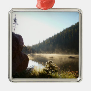 Sunrise at Dream Lake Metal Tree Decoration