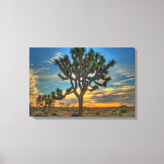 Sunrise At Joshua Tree National Park Canvas Print (Front)