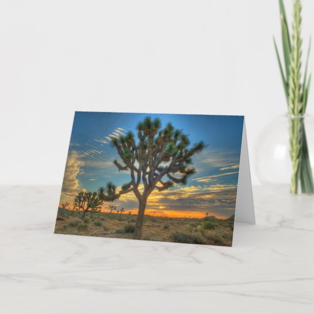 Sunrise At Joshua Tree National Park Card (Front)