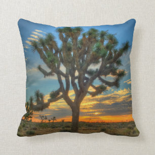 Sunrise At Joshua Tree National Park Cushion