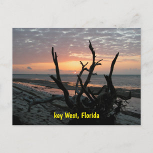 Sunrise at Key West Florida Postcard
