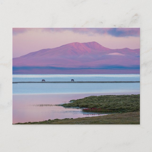 Sunrise at Song Kul lake Postcard (Front)