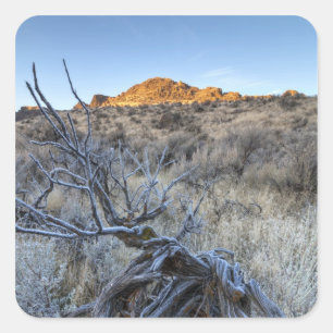 Sunrise at Squaw Creek, Owyhee County, ID Square Sticker