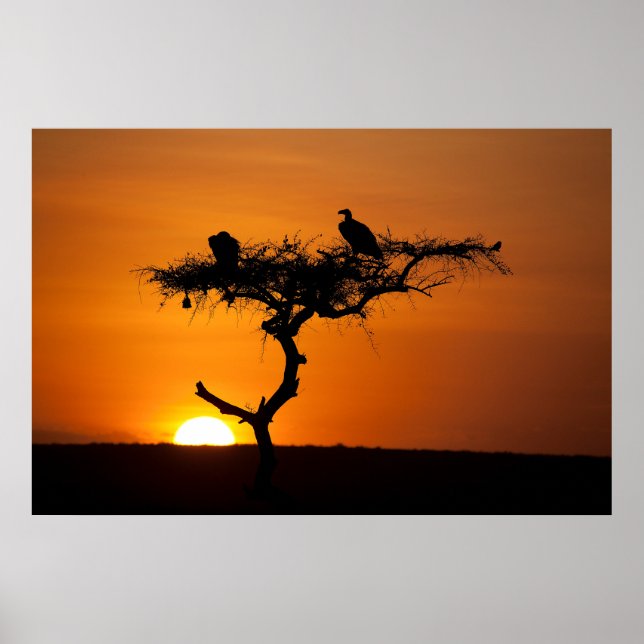Sunrise at the Masai Mara, Kenya Poster (Front)
