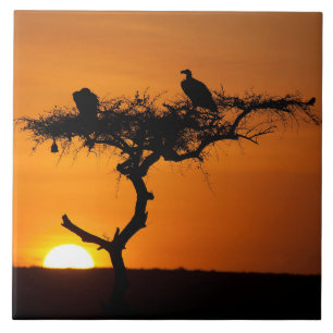 Sunrise at the Masai Mara, Kenya Tile