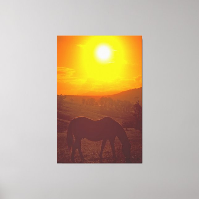 SUNRISE BEAUTY 40x60 Canvas Print (Front)