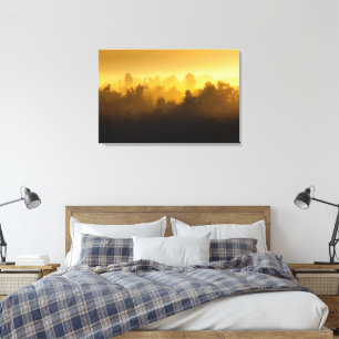 Sunrise behind foggy trees canvas print