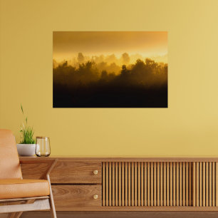 Sunrise behind foggy trees poster