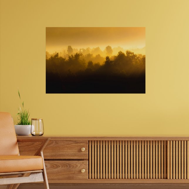 Sunrise behind foggy trees poster (Living Room 2)