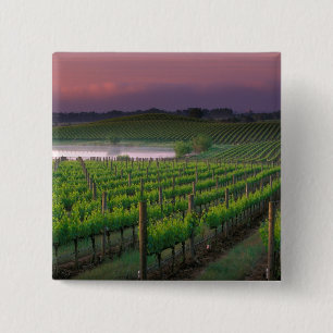 Sunrise colour in the distant fog behind 15 cm square badge