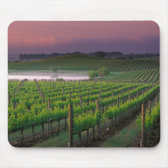 Sunrise colour in the distant fog behind mouse mat (Front)