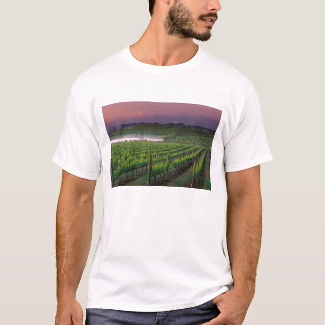 Sunrise colour in the distant fog behind T-Shirt (Front)