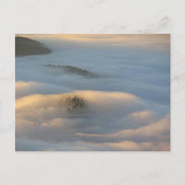 Sunrise fog in Pieniny mountains Postcard (Front)
