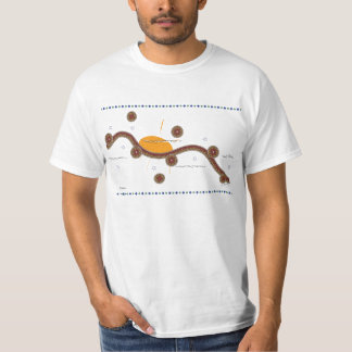 sunrise, G.Schertz,Tee-shirts T-Shirt