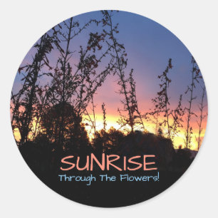 Sunrise Glows Between Wildflower Silhouettes Classic Round Sticker