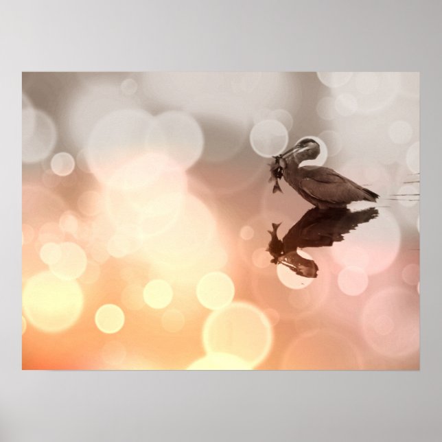 Sunrise Great Blue Heron Reflection Poster (Front)