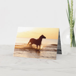 Sunrise Horse in the Water Horse Greeting Card