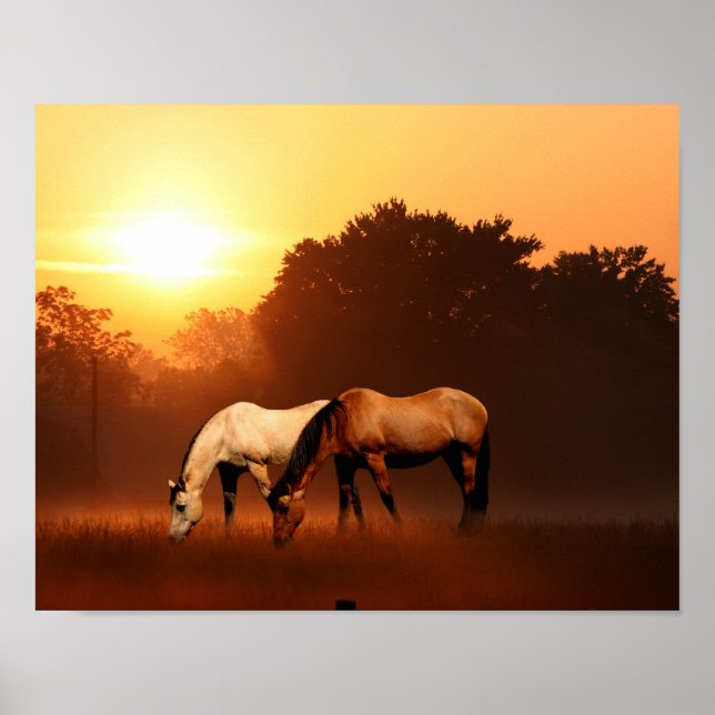 Sunrise horses poster (Front)