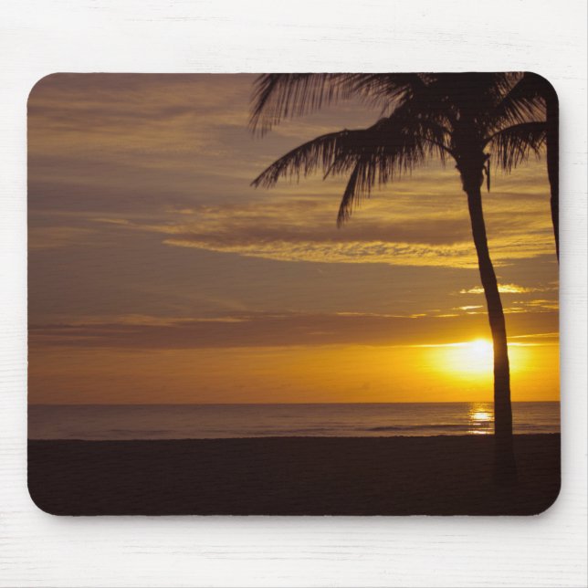 Sunrise in Florida Mouse Mat (Front)